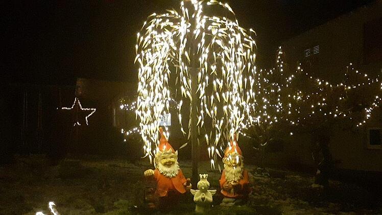 In Rothenkirchen bei Familie Krautwurst freuen sich gleich zwei Weihnachtszwerge &uuml;ber ihren Schlitten.