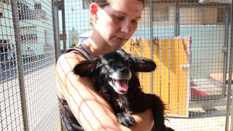 Den Hunden geht es wieder gut.