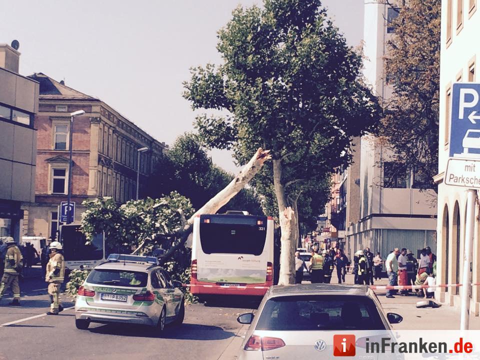 Baum stürzt in Bamberg auf Stadtbus
