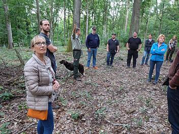 Forstdirektor Hubert Türich: "Der Wald in Thundorf ist gut aufgestellt, die Schäden sind überschaubar".