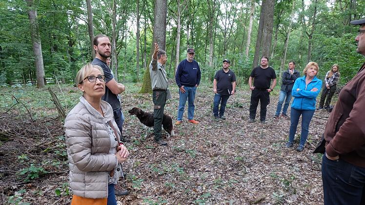 Forstdirektor Hubert Türich: "Der Wald in Thundorf ist gut aufgestellt, die Schäden sind überschaubar".