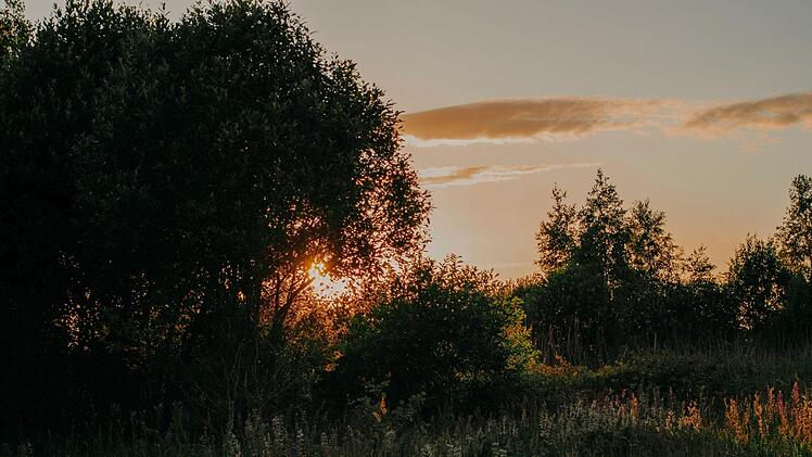 Das Kind wurde lediglich drei Wochen alt. Symbolfoto: Irina Iriser/pexels.com