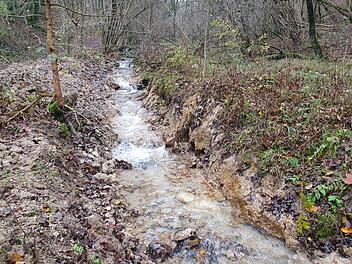 Unbekannte zerst&ouml;ren gesch&uuml;tzten Eggerbach durch illegale Baggerarbeiten