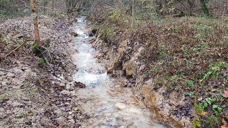 Massive Eingriffe am Eggerbach-Detailaufnahme des Eingriffs