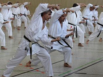 Ein beeindruckendes Bild boten die Übungen der zahlreichen Karate-Kämpfer. Fotos: Andreas Brandl
