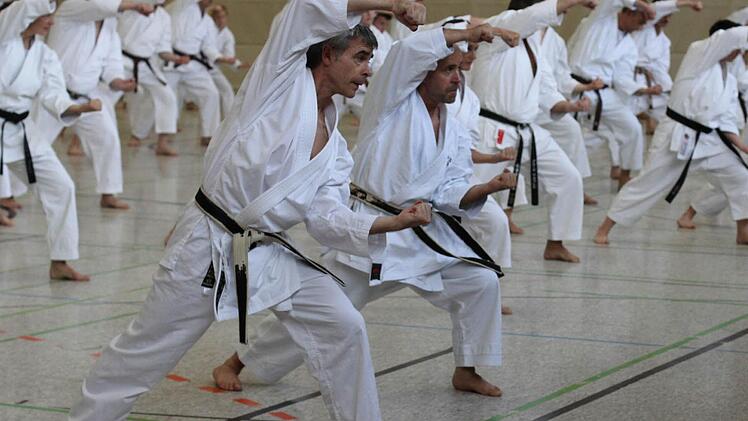 Ein beeindruckendes Bild boten die Übungen der zahlreichen Karate-Kämpfer. Fotos: Andreas Brandl