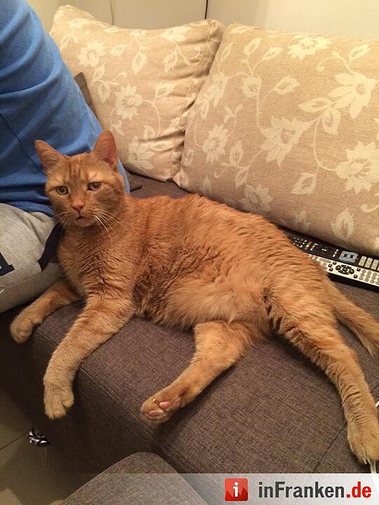 Foto: Nicole Kaesling