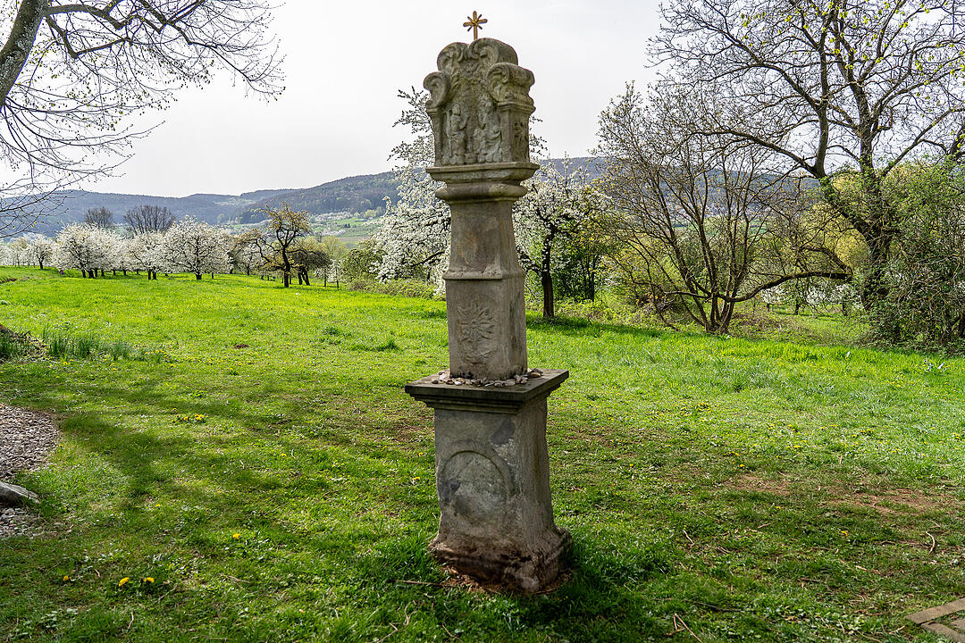 Unterwegs auf dem Kirschenweg.