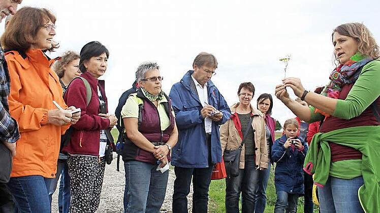 Heidi Rippel (rechts) zeigt an einer Pflanze, welche Teile für die Wildkräuterküche verwendet werden können.Foto: Waltraud Enkert