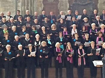Bei ihren Auftritten im Stephansdom und der Kathedrale von Esztergom glänzten die Sängerinnen und Sänger der Chorakademie.  Foto: privat
