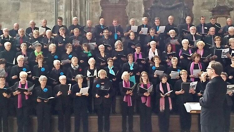Bei ihren Auftritten im Stephansdom und der Kathedrale von Esztergom glänzten die Sängerinnen und Sänger der Chorakademie.  Foto: privat
