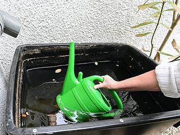 Landkreis W&uuml;rzburg: Wasser sparen und Umwelt sch&uuml;tzen - Landratsamt mit Appell und Hinweisen