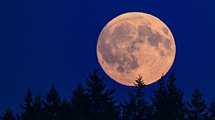 Vorschau auf die partielle Mondfinsternis