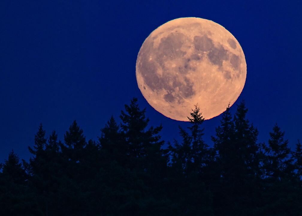 Vorschau auf die partielle Mondfinsternis