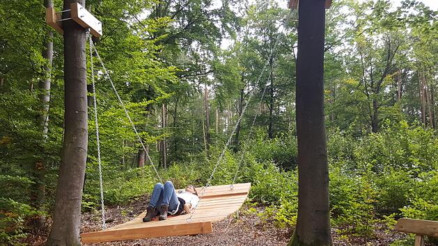 Einen entspannten Blick in die Baumkronen  ermöglicht die neue Relax-Schaukel den Wanderern   auf der Hochrhöner-Extratour  am Michelsberg. H. Beudert