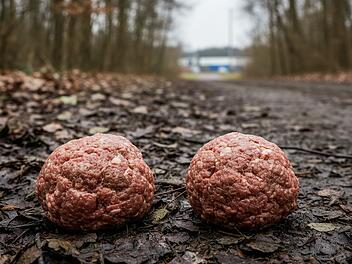 Kreis N&uuml;rnberger Land: Versteckte Nadel im Fleisch - Frau findet Tierk&ouml;der