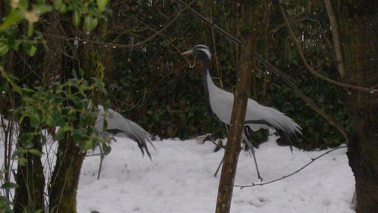 Foto: Petra Malbrich