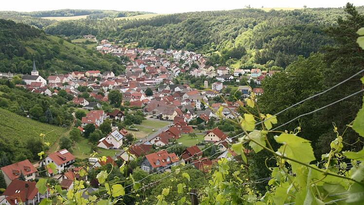 Weinbergwanderung der Saale Zeitung von Wirmsthal nach Wirmsthal 15. Juni 2014: Blick auf Ramsthal