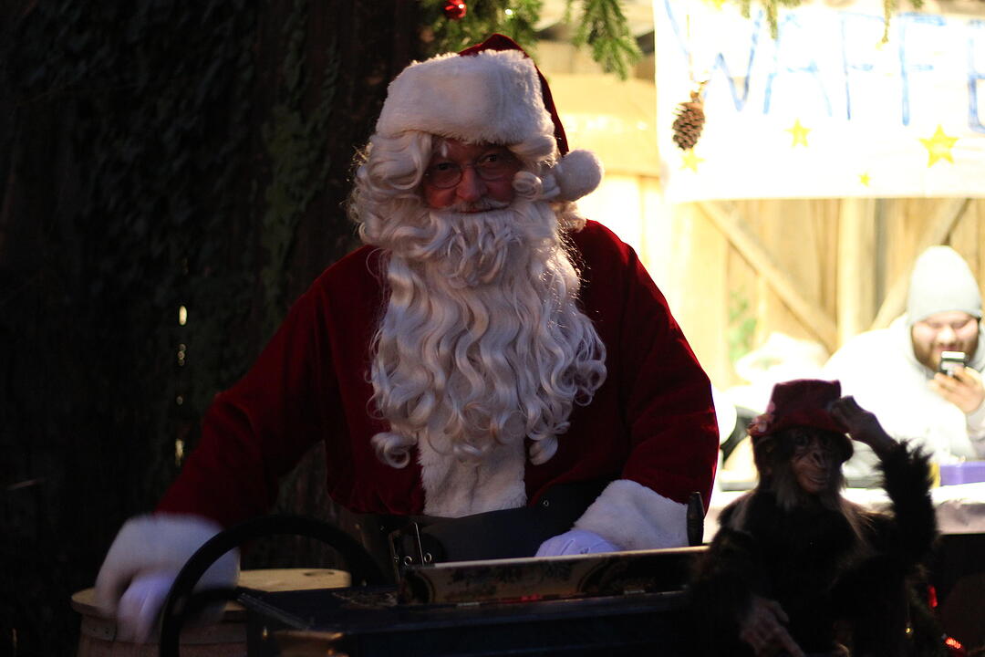 Weihnachtsmarkt-Test