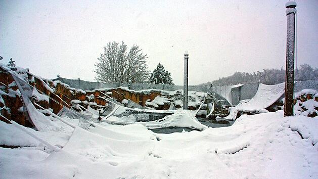 Die besch&auml;digte Pinguinanlage im Vogelpark Marlow. Enorme Schneemassen haben einen Gro&szlig;teil der Volieren in dem Vogelpark einst&uuml;rzen lassen, er ist f&uuml;r Besucher gesperrt. Foto: Franziska Z&ouml;ger-Haase/Vogelpark Marlow/dpa