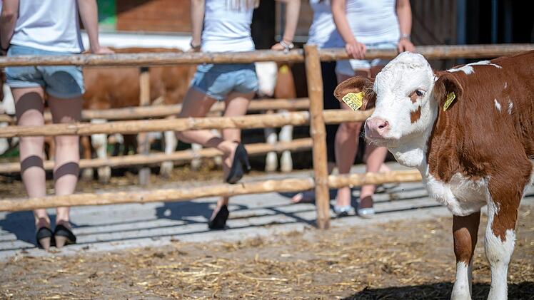 Foto: Sina Schuldt/dpa