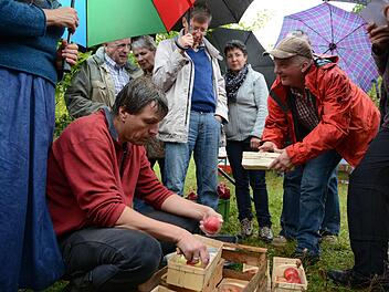 Pomologe Jan Bade bestimmt auf BN-Streuobstwiese bei Großenbrach auch mitgebrachte Apfelsorten Fotos: Elisabeth Assmann