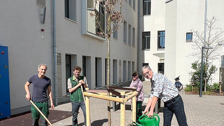 Bamberg: Zeichen für den Klimaschutz - über 700 Bäume gepflanzt