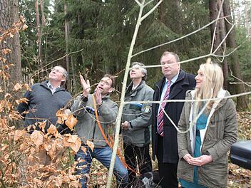 Revierförster Stefan Stirnweiß (2.v.l.) erläutert die Besonderheiten dieses mit Buchen unterpflanzten Bestands. Von links: Waldbesitzer Haiko Winkler von Mohrenfels, Peter Pröbstle, Walter Nussel und Hannah Winkler von Mohrenfels. Foto: Andreas Dorsch