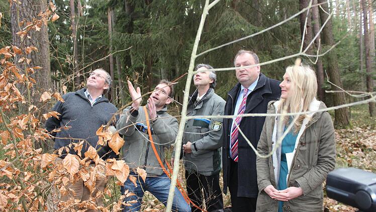 Revierförster Stefan Stirnweiß (2.v.l.) erläutert die Besonderheiten dieses mit Buchen unterpflanzten Bestands. Von links: Waldbesitzer Haiko Winkler von Mohrenfels, Peter Pröbstle, Walter Nussel und Hannah Winkler von Mohrenfels. Foto: Andreas Dorsch