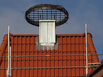 Foto: Friedwald Schedel