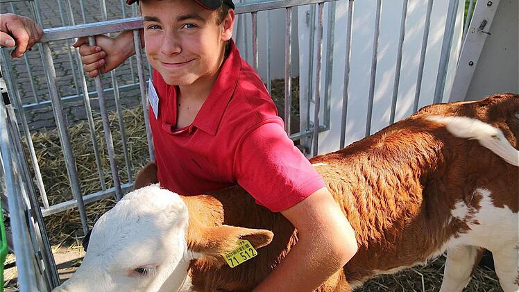 Praktikant Sandro Hufnagel berichtet von seinem Einsatz im Milchviehbetrieb Greubel.  Foto: Gerd Schaar