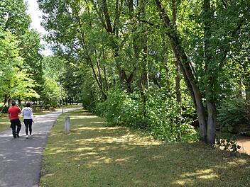 Die Aurach-Promenade ist durch viel Grün gekennzeichnet. Der Lebensraum Flussufer soll nun verbessert werden. Das Grün spielt freilich auch künftig eine große Rolle.  Foto: Bernhard Panzer