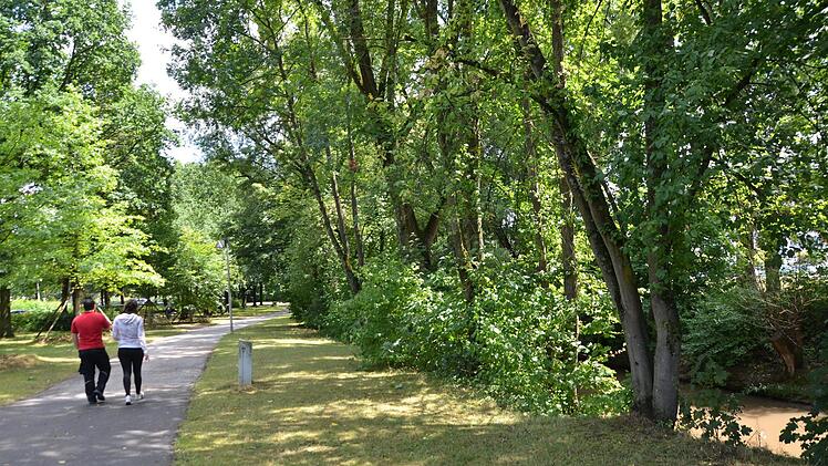 Die Aurach-Promenade ist durch viel Grün gekennzeichnet. Der Lebensraum Flussufer soll nun verbessert werden. Das Grün spielt freilich auch künftig eine große Rolle.  Foto: Bernhard Panzer