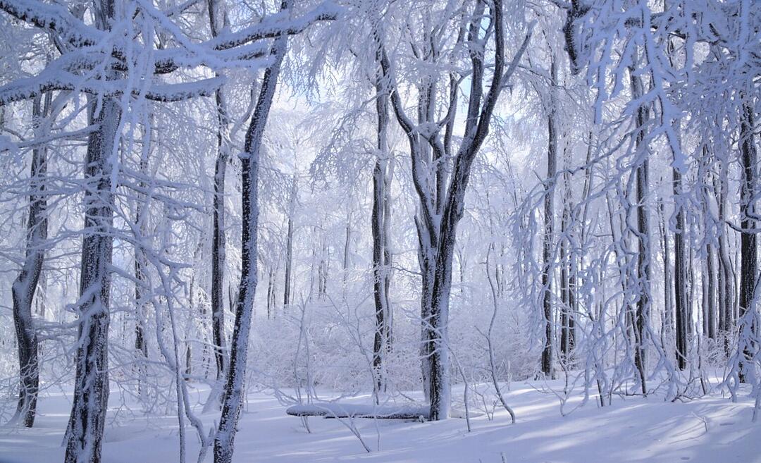 Urlaub in Franken: Rhön im Winter