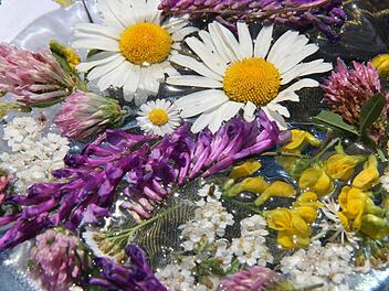 Blumige Aussichten: Der Obst- und Gartenbauverein Euerdorf bietet ein gemütliches Umfeld und sorgt für die Ortsverschönerung. Foto: Gerd Schaar