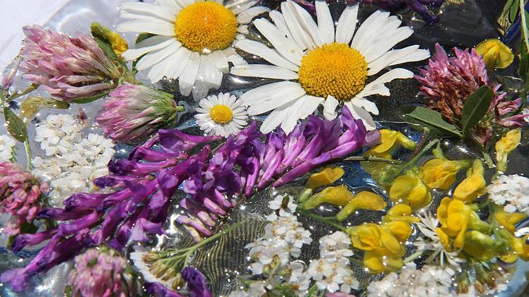 Blumige Aussichten: Der Obst- und Gartenbauverein Euerdorf bietet ein gemütliches Umfeld und sorgt für die Ortsverschönerung. Foto: Gerd Schaar