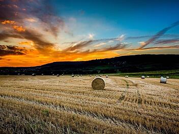 Eine Fläche von insgesamt rund 22 000 Hektar beackern die Landwirte im Kreis Forchheim. Dieses Ernte-Foto aus dem vergangenen Jahr zeigt ein Feld mit Blick auf Reifenberg. Foto: Andreas Nagengast/Infrankenpix
