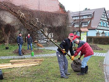 Mit vereinten Kräften transportierten Harald Kaiser (links) und Karl Zink den Baum. Im Hintergrund arbeiten Wolfgang Thoma (von links), Renate Heimann und Joachim Schneider an den anderen Pflanzstellen.  Foto: Evi Seeger