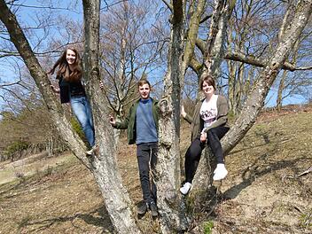 Julika Hauck (von links), Jannis M&uuml;ller und Selina Hauck suchen Nachfolger. Foto: Veronika Urban