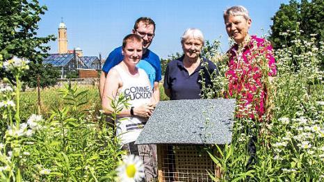 In einer Nisthilfe entstehen j&auml;hrlich bis zu 2000 Wildbienen. Foto: p
