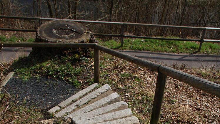 Parallel zur Ernst-Putz-Straße führt ein Fußgängerweg entlang. Er ist für Leute aus dem Wohngebiet Langeller Hart aber nur über steile Treppen erreichbar. Foto: Ulrike Müller
