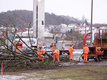 Mitarbeiter des Staatlichen Bauamtes fällen Bäume auf dem Bolzplatz an der Garitzer Kreuzung. Die Arbeiten sind Vorbereitungen für den Garitzer Kreisel. Foto: Benedikt Borst