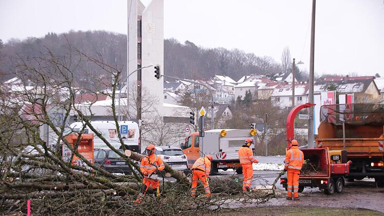 Mitarbeiter des Staatlichen Bauamtes fällen Bäume auf dem Bolzplatz an der Garitzer Kreuzung. Die Arbeiten sind Vorbereitungen für den Garitzer Kreisel. Foto: Benedikt Borst