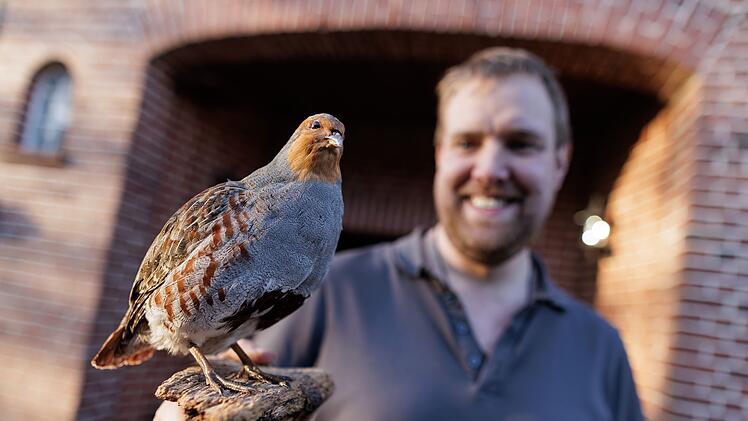 Rettungsmission Rebhuhn