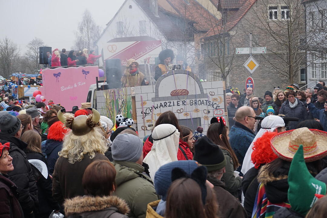 Landkreisfaschingszug 2015
