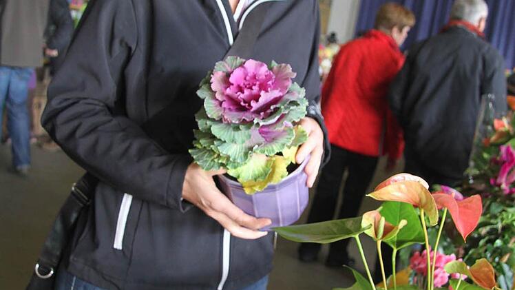 Lions-Flohmarkt Foto: Sonja Adam