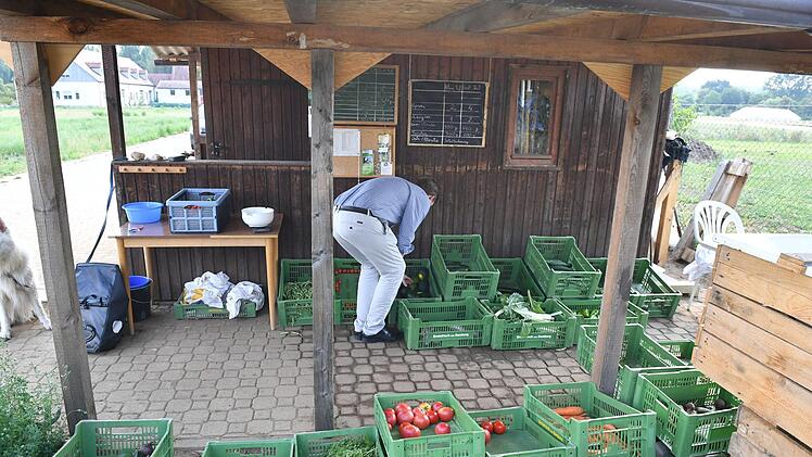 So kommt einiges an Gemüse für jeden Ernteteiler zusammen. Foto: Ronald Rinklef