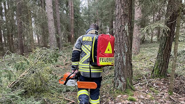 Waldarbeiter stirbt bei Unfall bei Adelsdorf