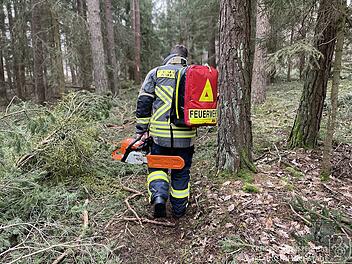 Waldarbeiter stirbt bei Unfall bei Adelsdorf