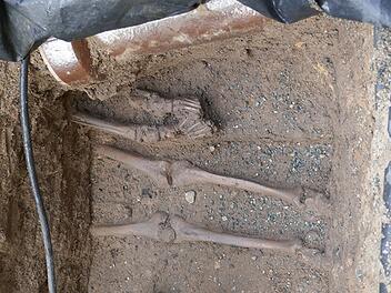 Das Bild zeigt arch&auml;ologische Ausgrabungen mit menschlichen Knochen, die in Erde eingebettet sind. Daneben sind ein Rohr und ein Kabel sichtbar.